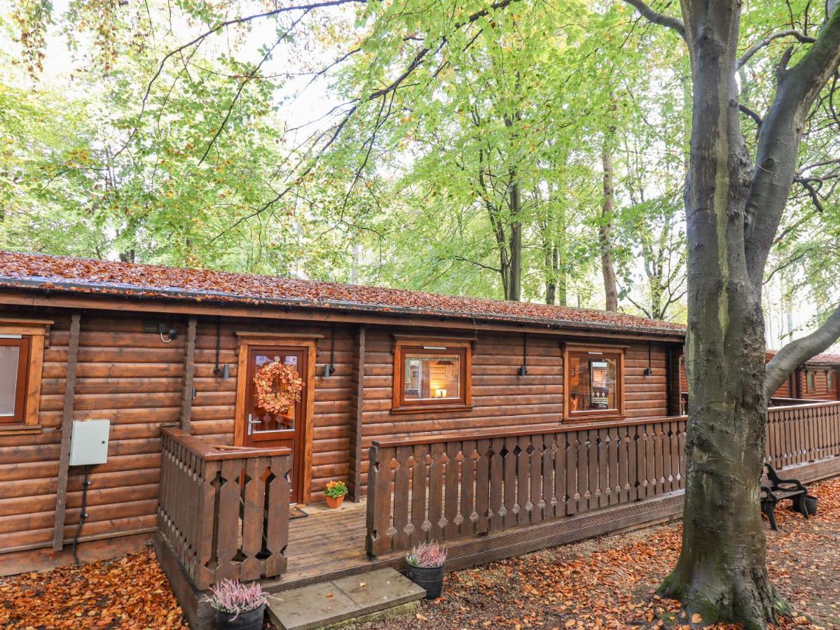 Leafy Hollow Lodge Louth  Zewnętrze zdjęcie